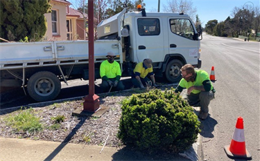 Flower bed/kerb blister maintenance in Bridge Street