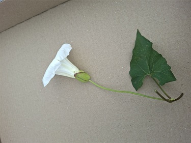 20251210_131457.jpg